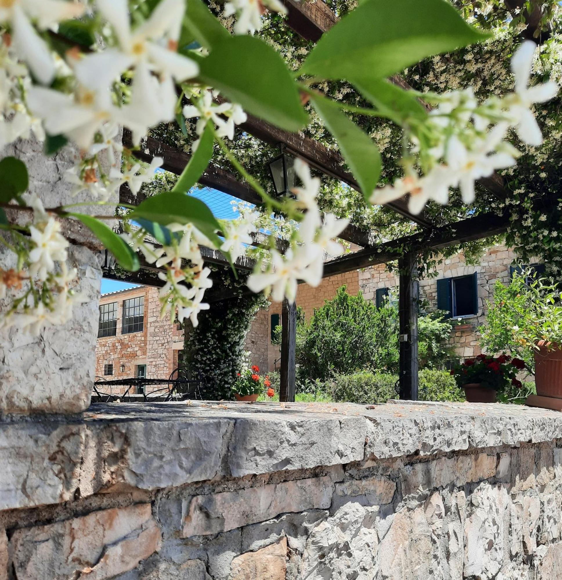 Agriturismo Tenuta Conti Faina Fratta Todina Extérieur photo